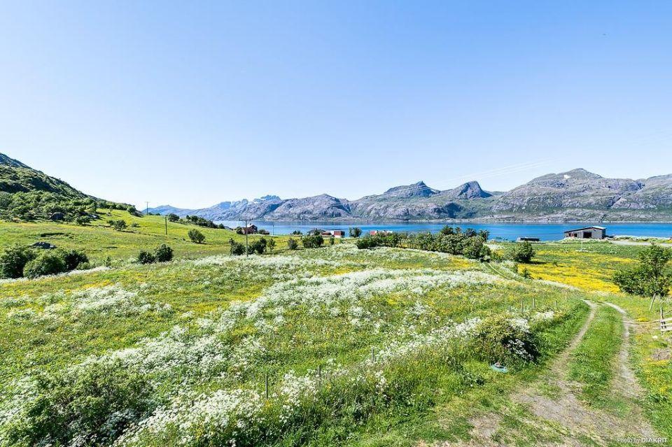 Vevika Lofoten Villa Gravdal  Ngoại thất bức ảnh